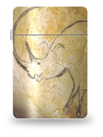 ショーヴェ洞窟・ケサイ（古代文明・先史時代の洞窟壁画）のアートケース