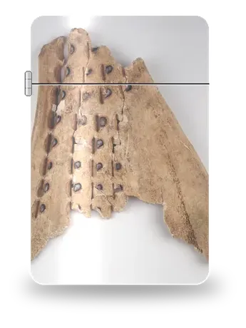 Scapola oracolare di bue (British Library) di Civiltà antiche · Scrittura su ossa oracolari – cover d’arte per inserto di accendino