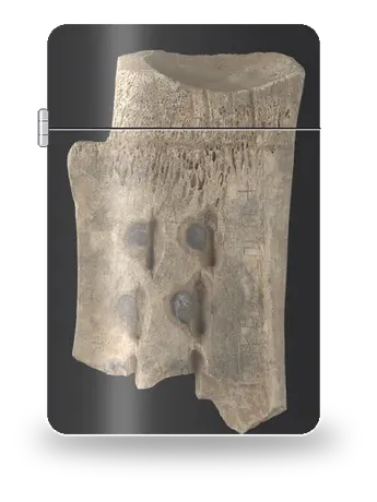 库寿龄—方法敛旧藏卜骨（古代文明·甲骨文）艺术外壳