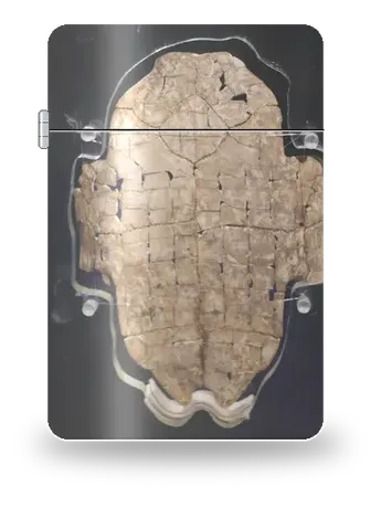 Orakelpanzer aus Schildkrötenbauchschild von Alte Kulturen · Orakelknochenschrift – Kunsthülle für einen Feuerzeugeinsatz