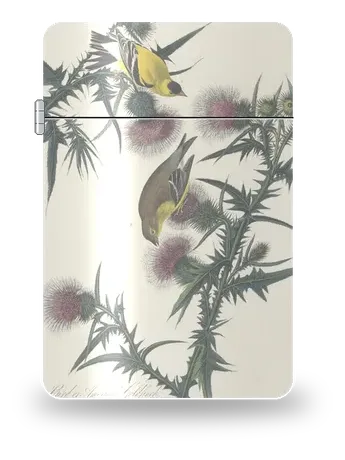 Cardellino americano di John James Audubon – cover d’arte per inserto di accendino