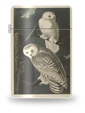 Harfang des neiges de John James Audubon – boîtier d’art pour insert de briquet