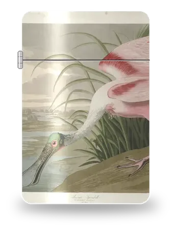 Spatule rosée de John James Audubon – boîtier d’art pour insert de briquet