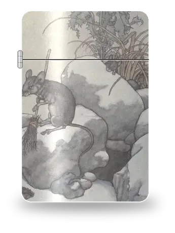 Thumbelina and the Field Mouse by W. Heath Robinson — art case for a lighter insert