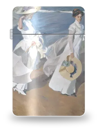 Strolling along the Seashore by Joaquín Sorolla — art case for a lighter insert