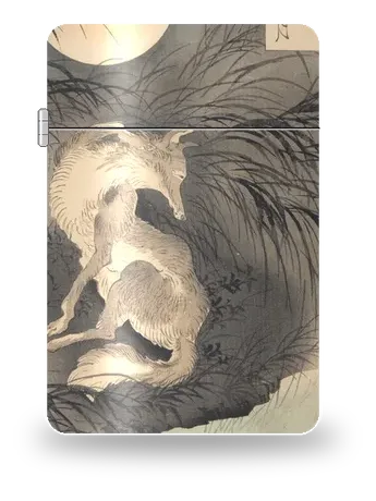 One Hundred Aspects of the Moon: Musashi Plain by Tsukioka Yoshitoshi — art case for a lighter insert