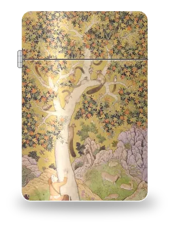 悬铃木上的松鼠（莫卧儿细密画）艺术外壳