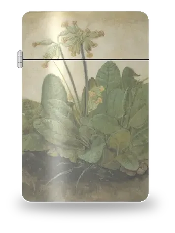 Tuft of Cowslips by Albrecht Dürer — art case for a lighter insert