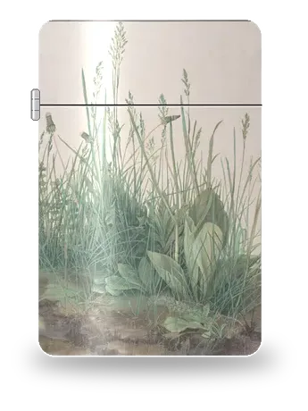 La Grande Touffe d’herbes de Albrecht Dürer – boîtier d’art pour insert de briquet