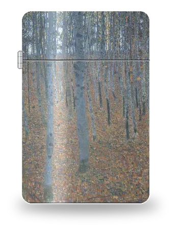 Faggeta I di Gustav Klimt – cover d’arte per inserto di accendino