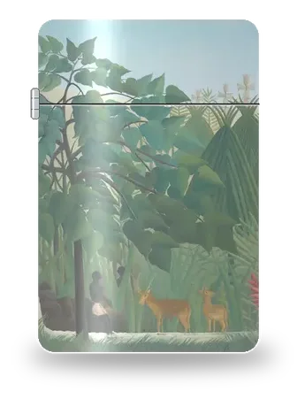 Der Wasserfall von Henri Rousseau – Kunsthülle für einen Feuerzeugeinsatz